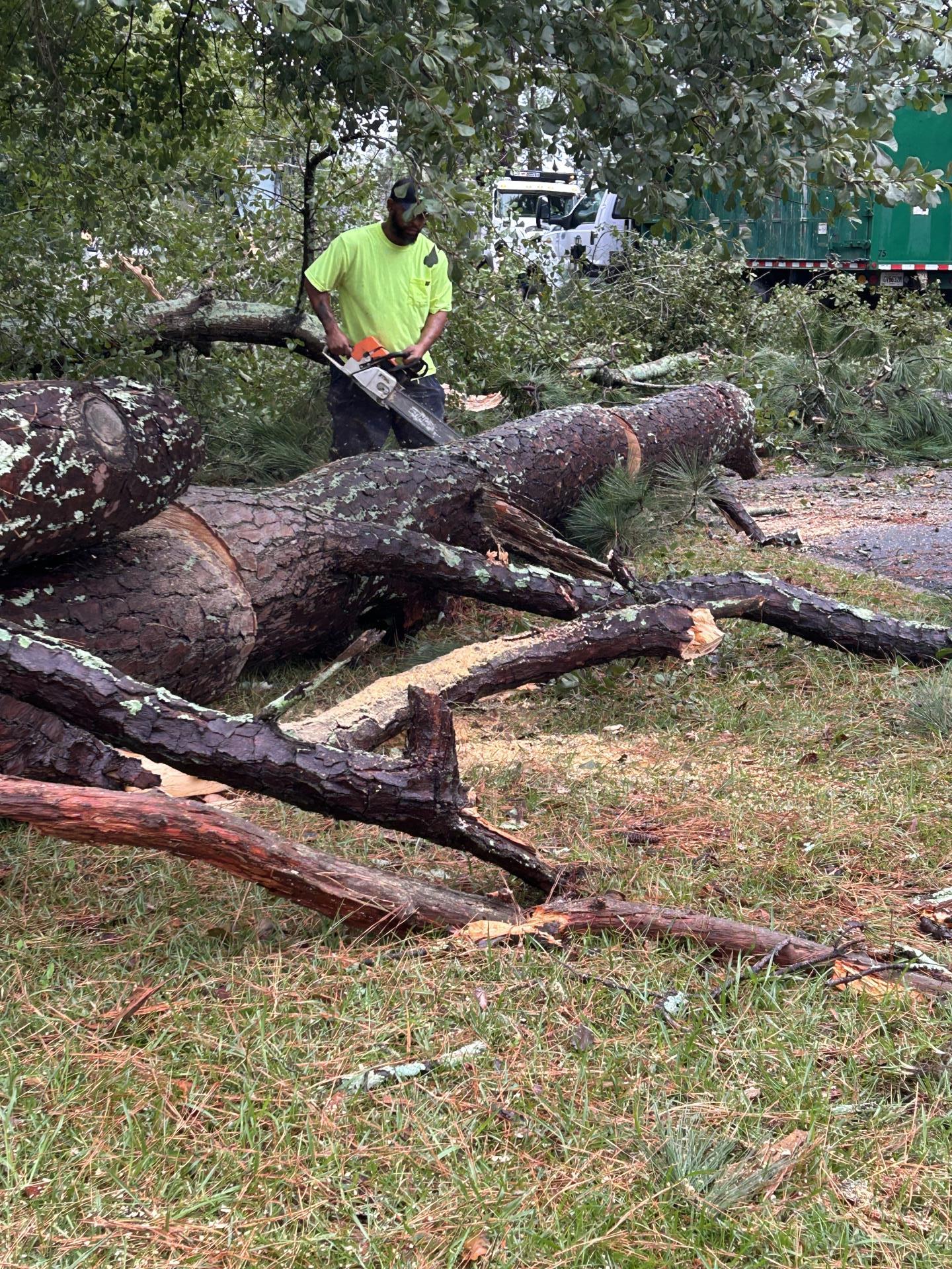 Helene Tree Cleanup 1